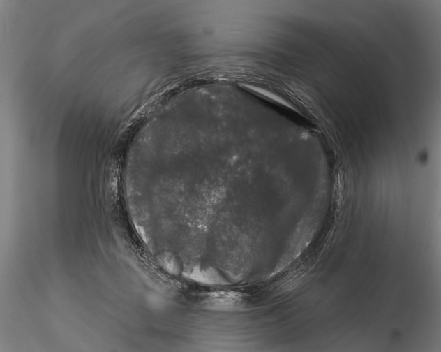 X0000116010363200912101347