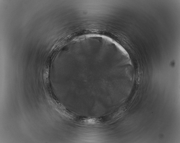 X0000116010365200912101347