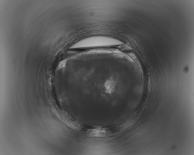 X0000116010366200912101347