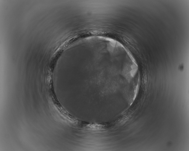 X0000116010367200912101347