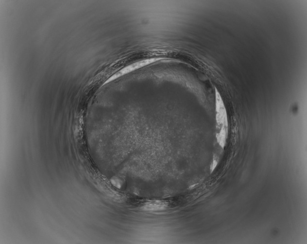 X0000116010369200912101347