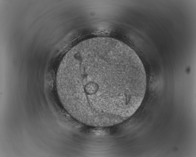 X0000116010370200912101347