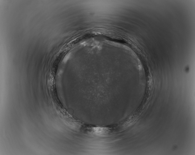 X0000116010371200912101347