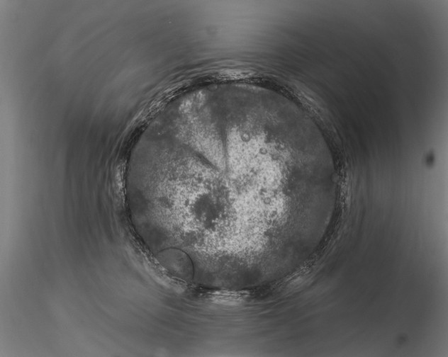 X0000116010373200912101347