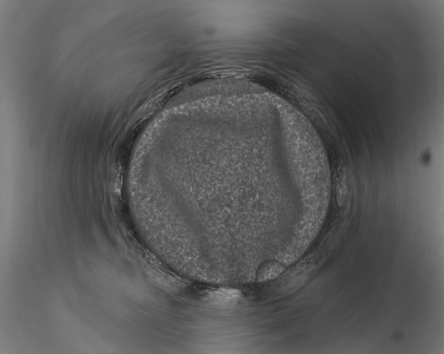 X0000116010374200912101347