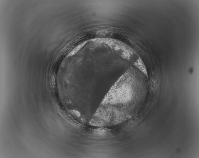 X0000116010375200912101347