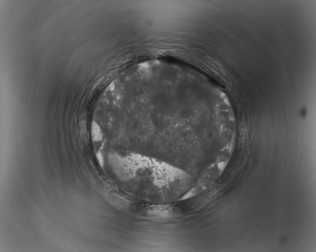 X0000116010377200912101347