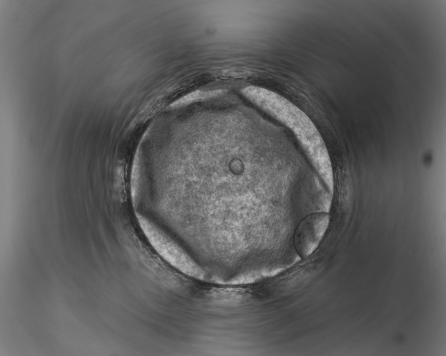 X0000116010378200912101347