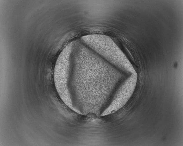 X0000116010379200912101347