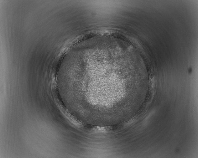 X0000116010381200912101347