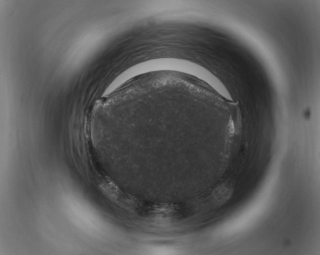 X0000116010382200912101347