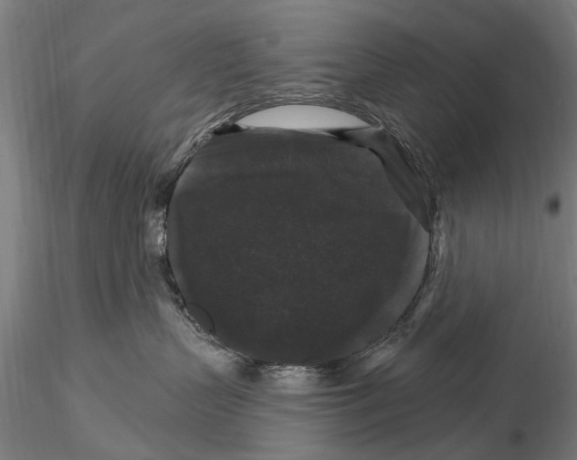 X0000116010383200912101347