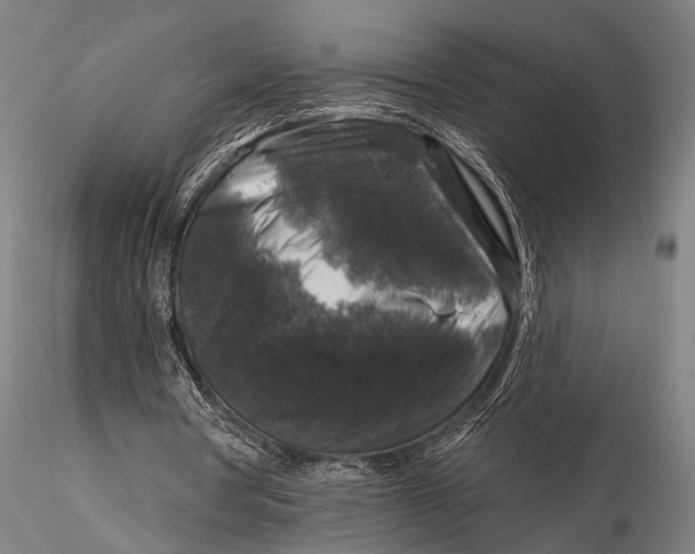 X0000116010386200912101346