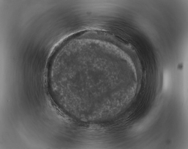 X0000116010388200912101346