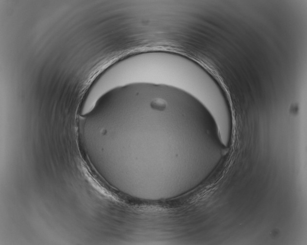 X0000116010389200912101346