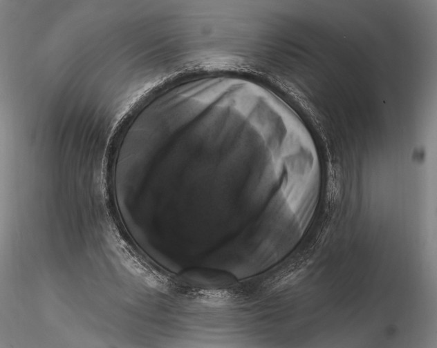 X0000116010391200912101346