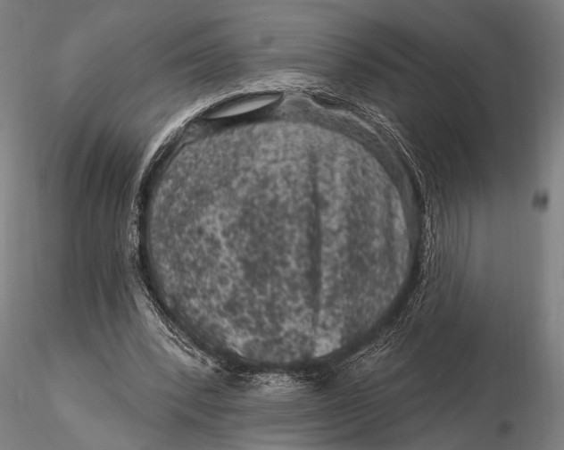 X0000116010392200912101346