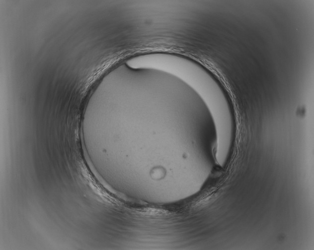 X0000116010393200912101346