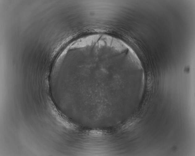 X0000116010394200912101346