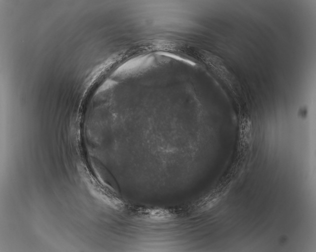 X0000116010395200912101346