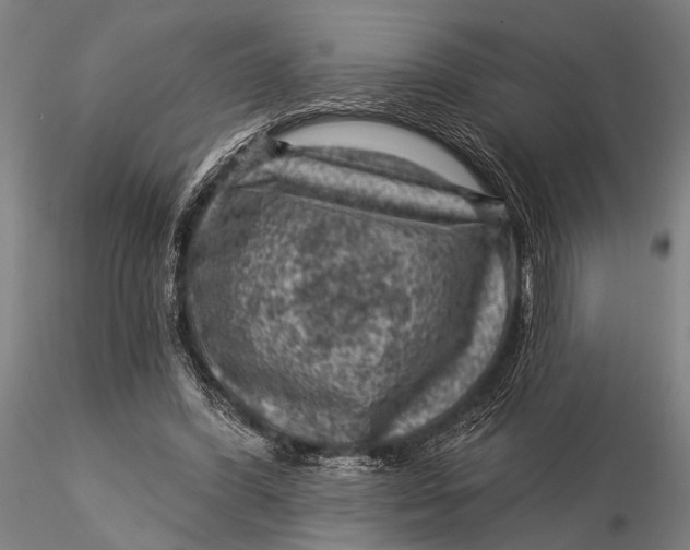 X0000116010396200912101346