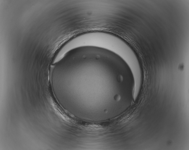 X0000116010397200912101346