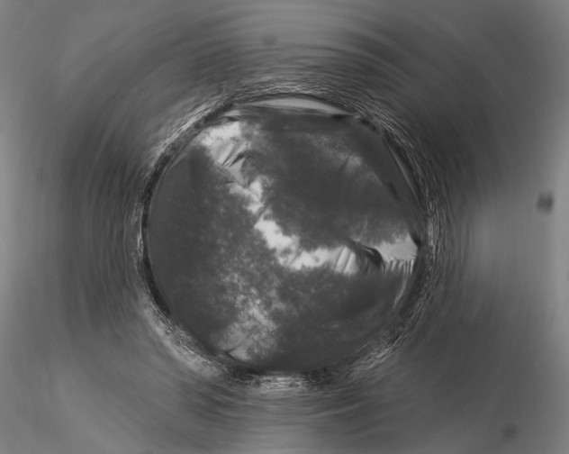 X0000116010398200912101346