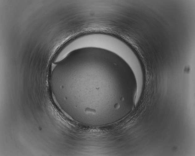 X0000116010399200912101346