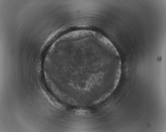 X0000116010400200912101346