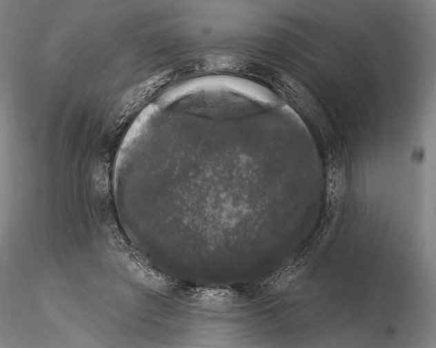 X0000116010401200912101346