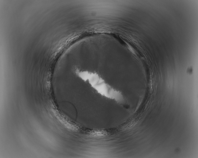 X0000116010402200912101346