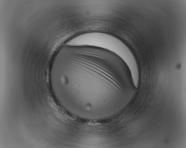 X0000116010403200912101346