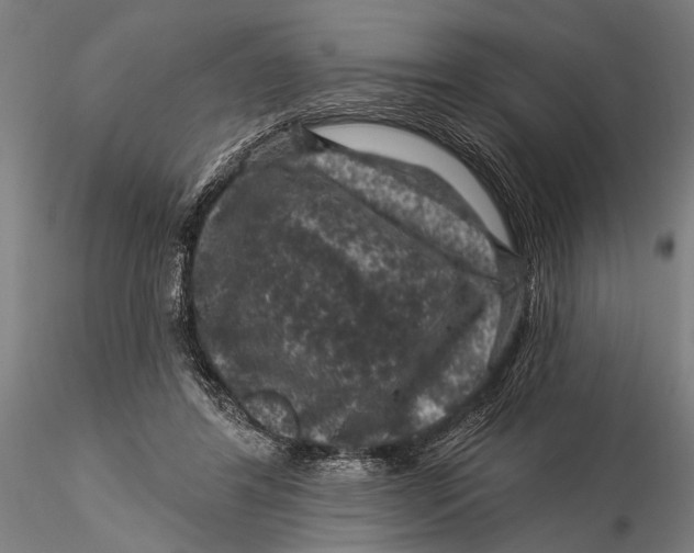 X0000116010404200912101346