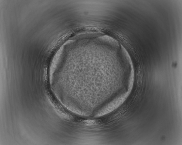 X0000116010406200912101346