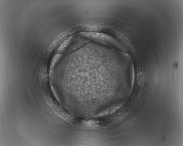 X0000116010407200912101346