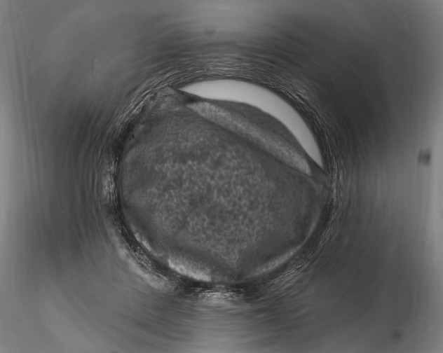 X0000116010408200912101346