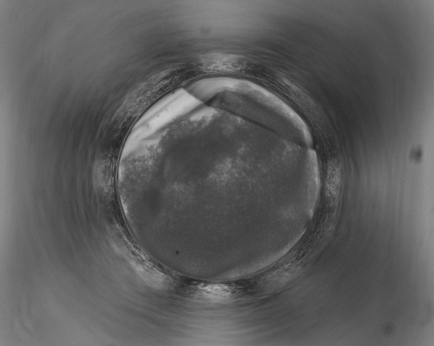 X0000116010409200912101346