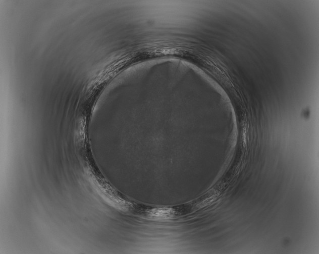 X0000116010410200912101346