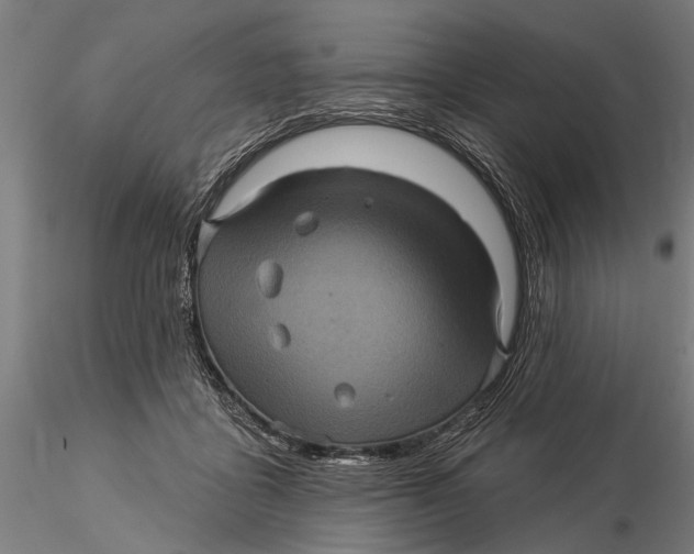 X0000116010411200912101346