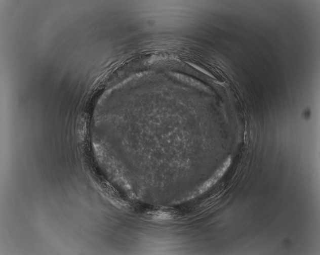 X0000116010412200912101346