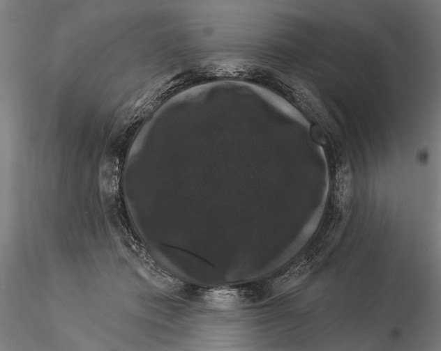 X0000116010413200912101346