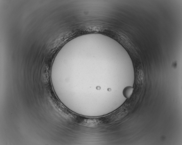 X0000116010414200912101346