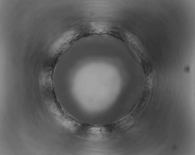 X0000116010415200912101346