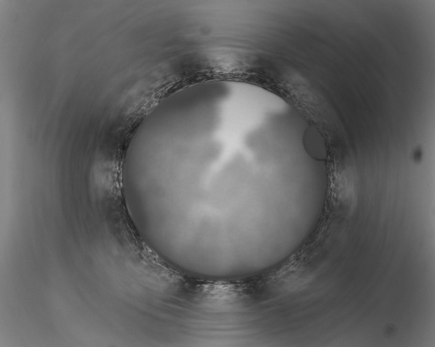 X0000116010419200912101346