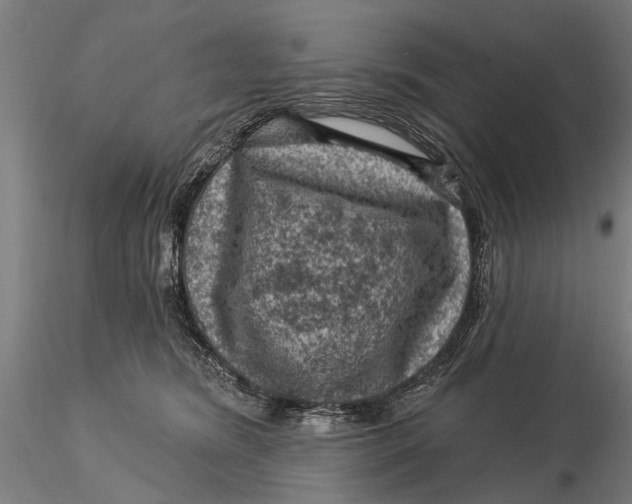 X0000116010420200912101346