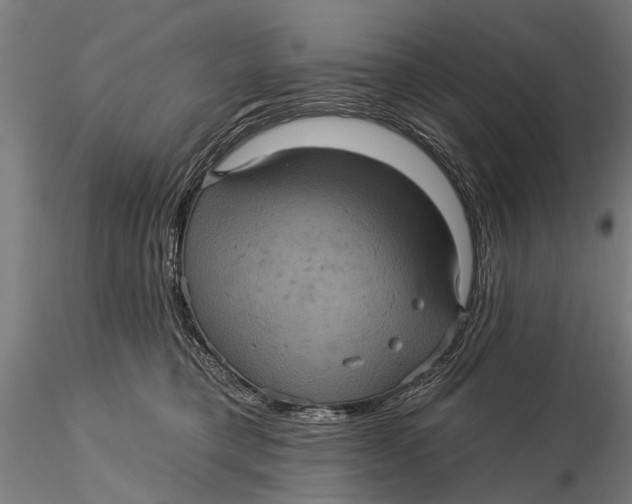 X0000116010421200912101346