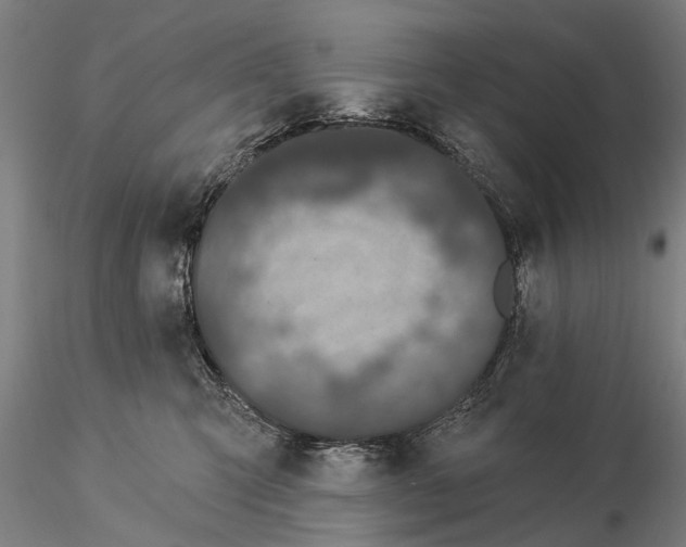 X0000116010423200912101346