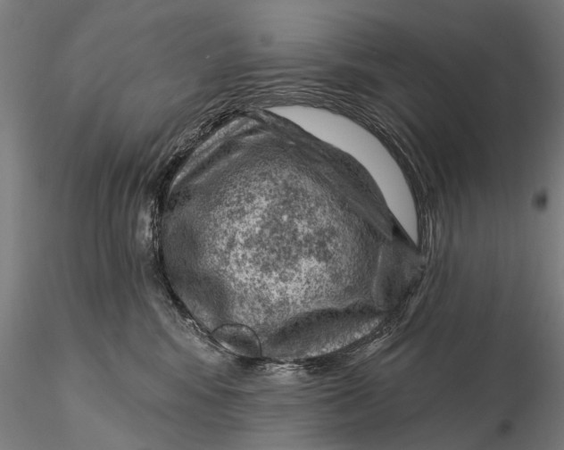 X0000116010424200912101346