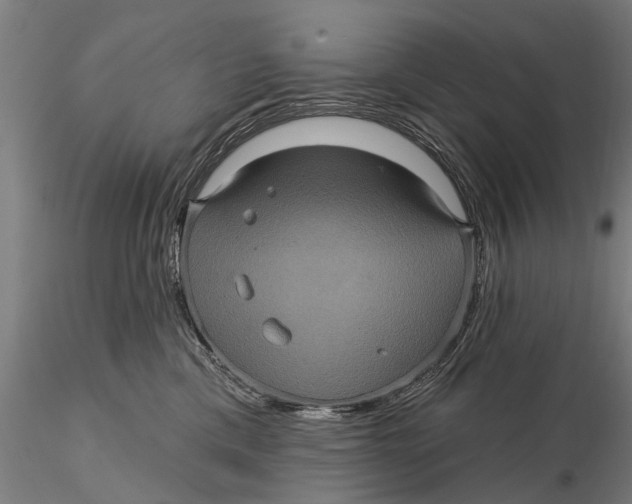 X0000116010425200912101346