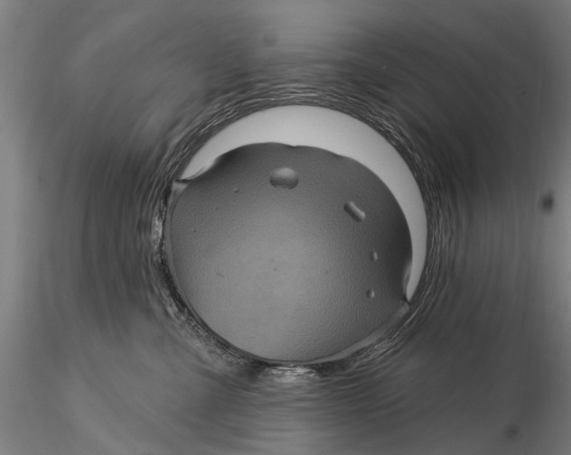 X0000116010427200912101346